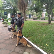 Operação Parabellum