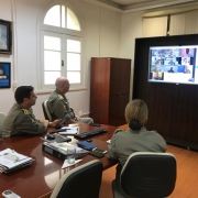 A reunião acontece por videoconferencia