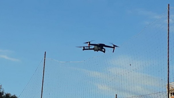 Drone