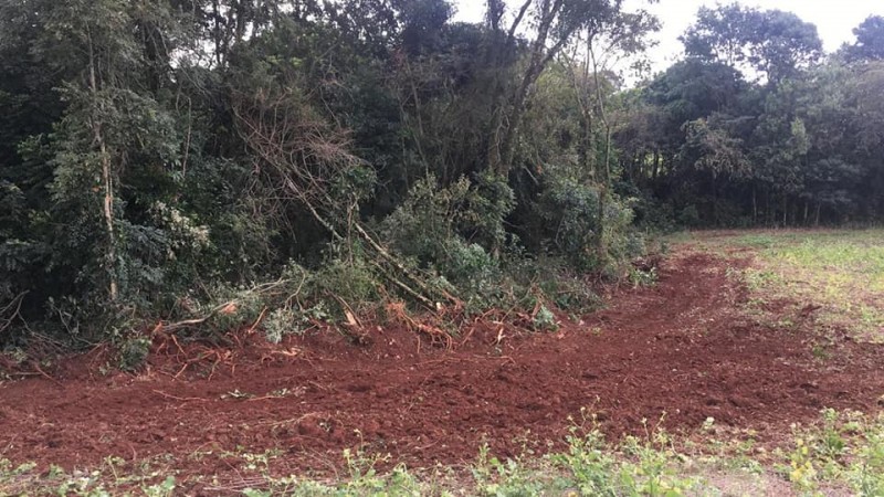 CRIME AMBIENTAL EM T PORTELA