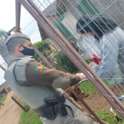 Patrulha Maria da Penha