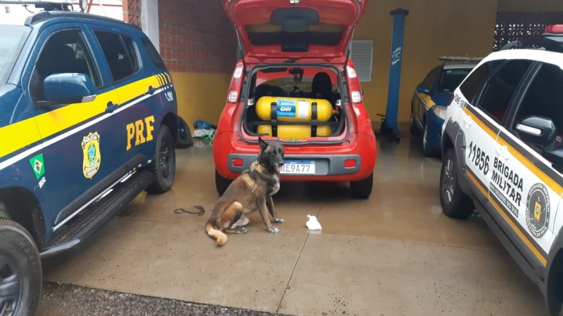 viaturas, cão e droga