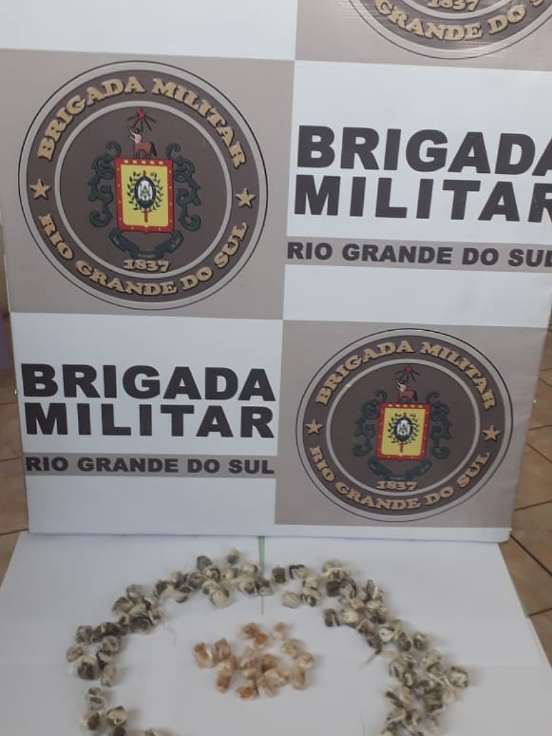 Droga apreendida em Três Passos