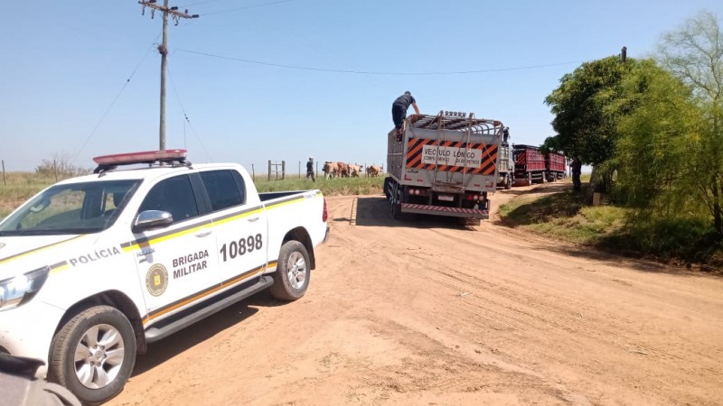 barreira policial