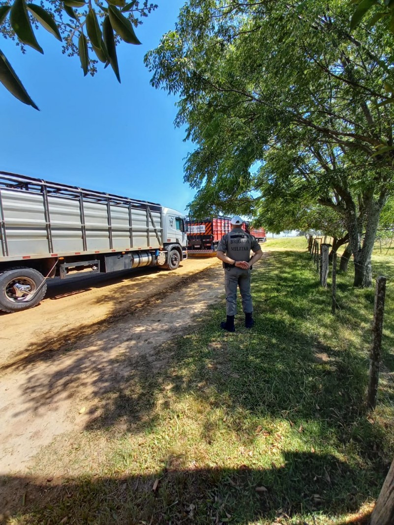 barreira policial