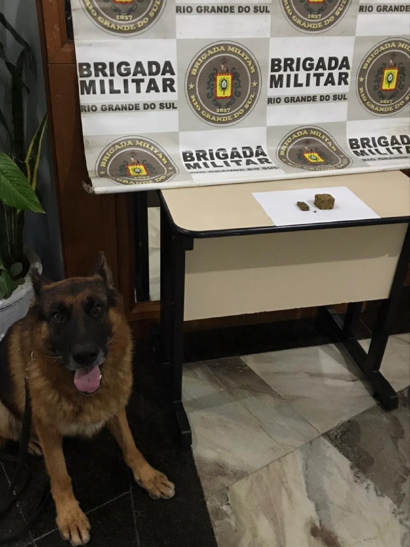 Cão Heros