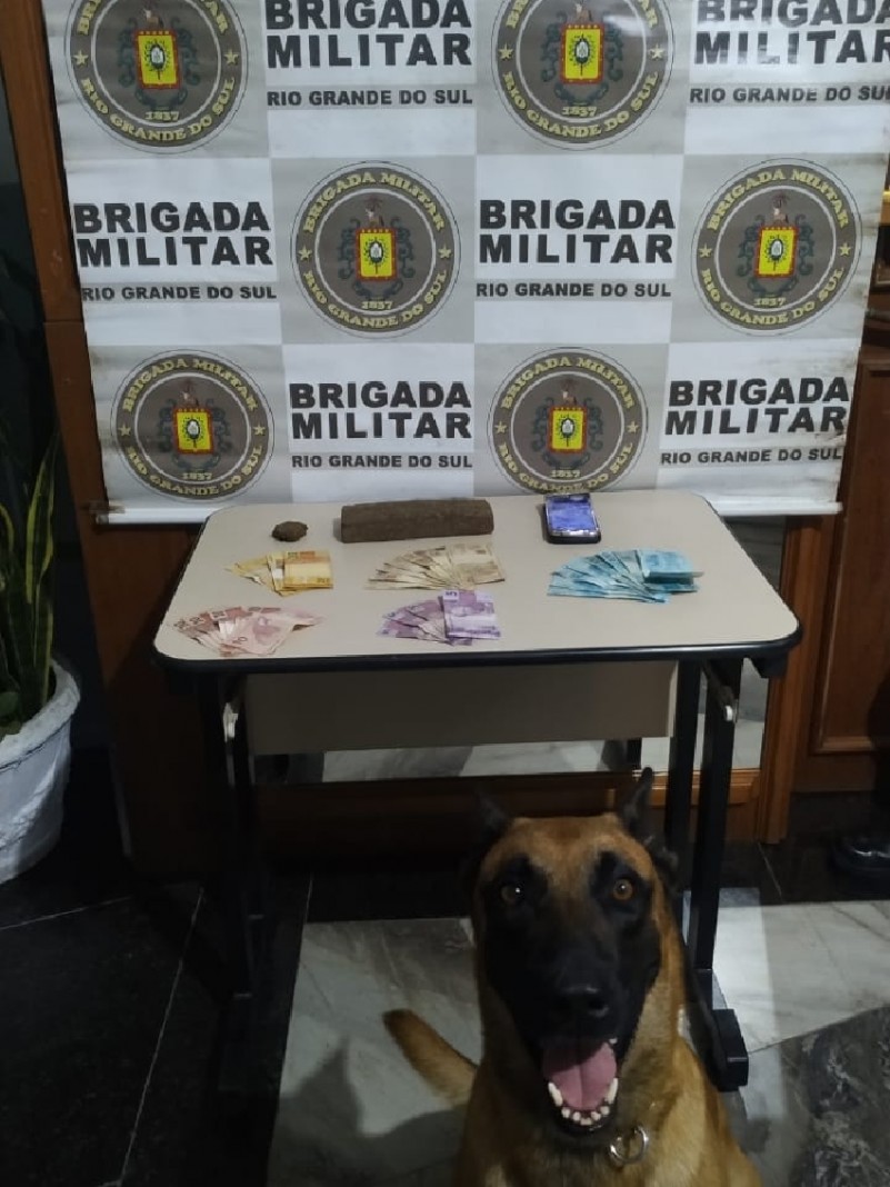 Cão Radar e material apreendido