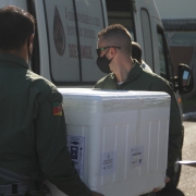 Distribuição de vacinas no Estado do Rio Grande do Sul