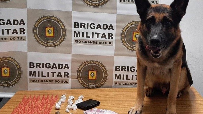 Pris&atilde;o por tr&aacute;fico de entorpecentes com ajuda de c&atilde;o policial