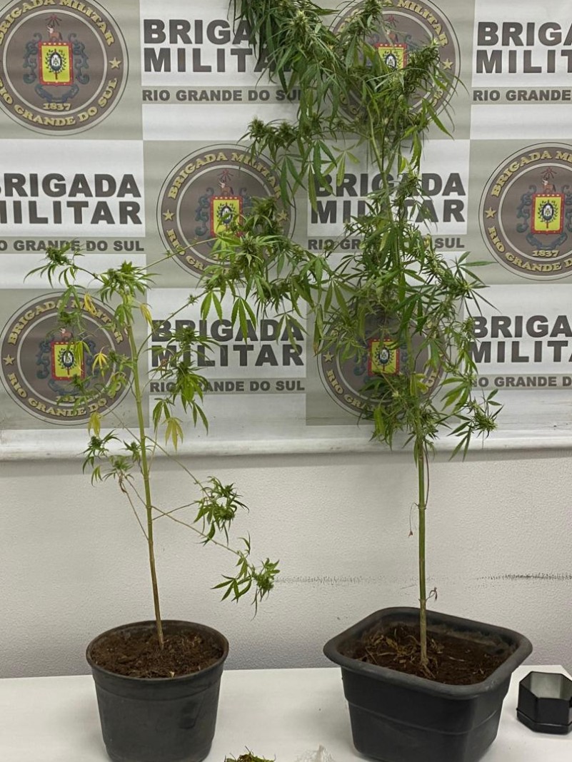 MACONHA APREENDIDA EM 05 DE MAIO