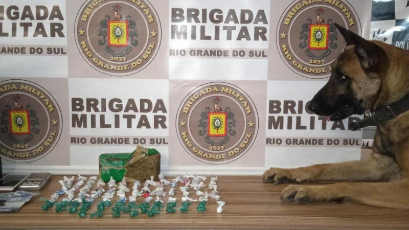cão de faro com drogas apreendidas