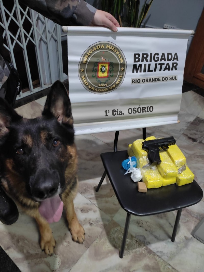 Drogas apreendidas