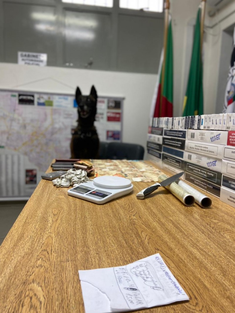 Apreens&atilde;o de drogas com auxilio do C&atilde;o do 15 &ordm; BPM