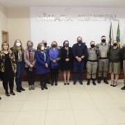 15 nos Lei Maria da Penha 