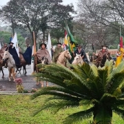 Tradicionalistas