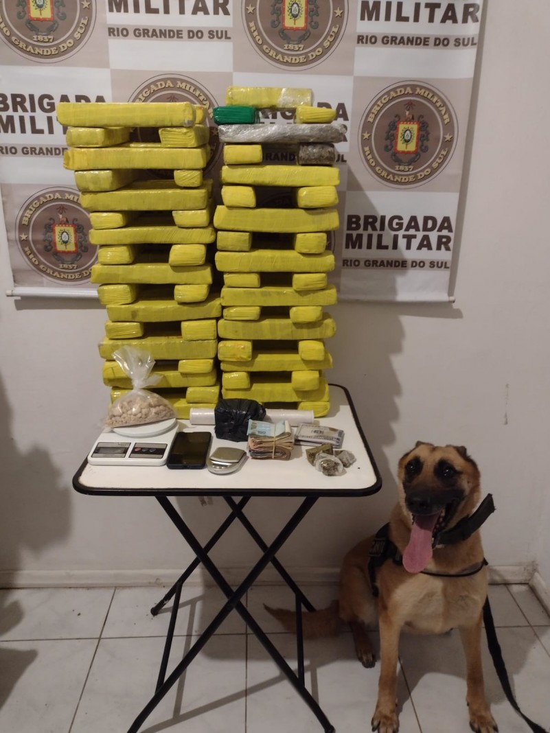 Tabletes de drogas e c&atilde;o de Faro