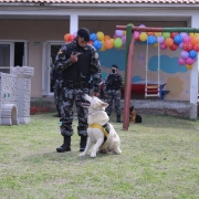 IMG 20211008 WA0246