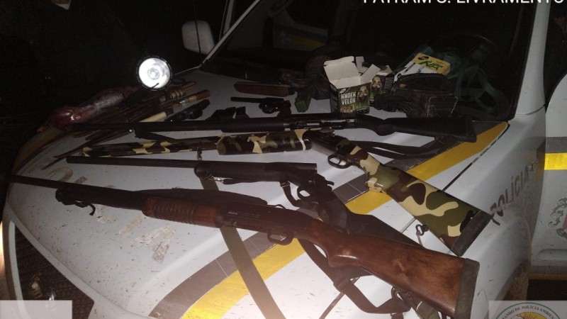 Armas apreendidas