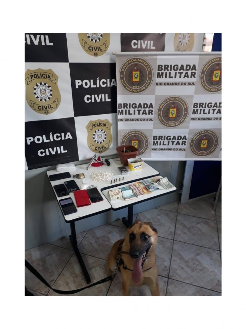 C&atilde;o com material apreendido