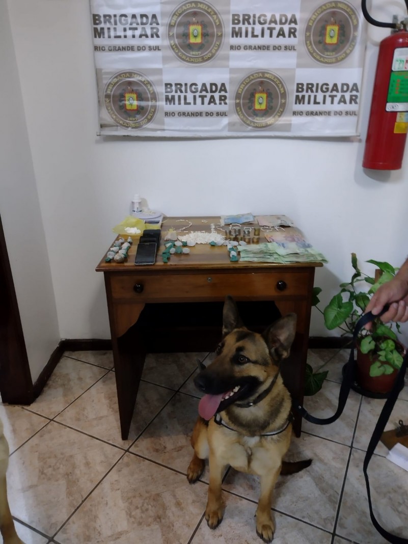 cachorro com materiais apreendidos