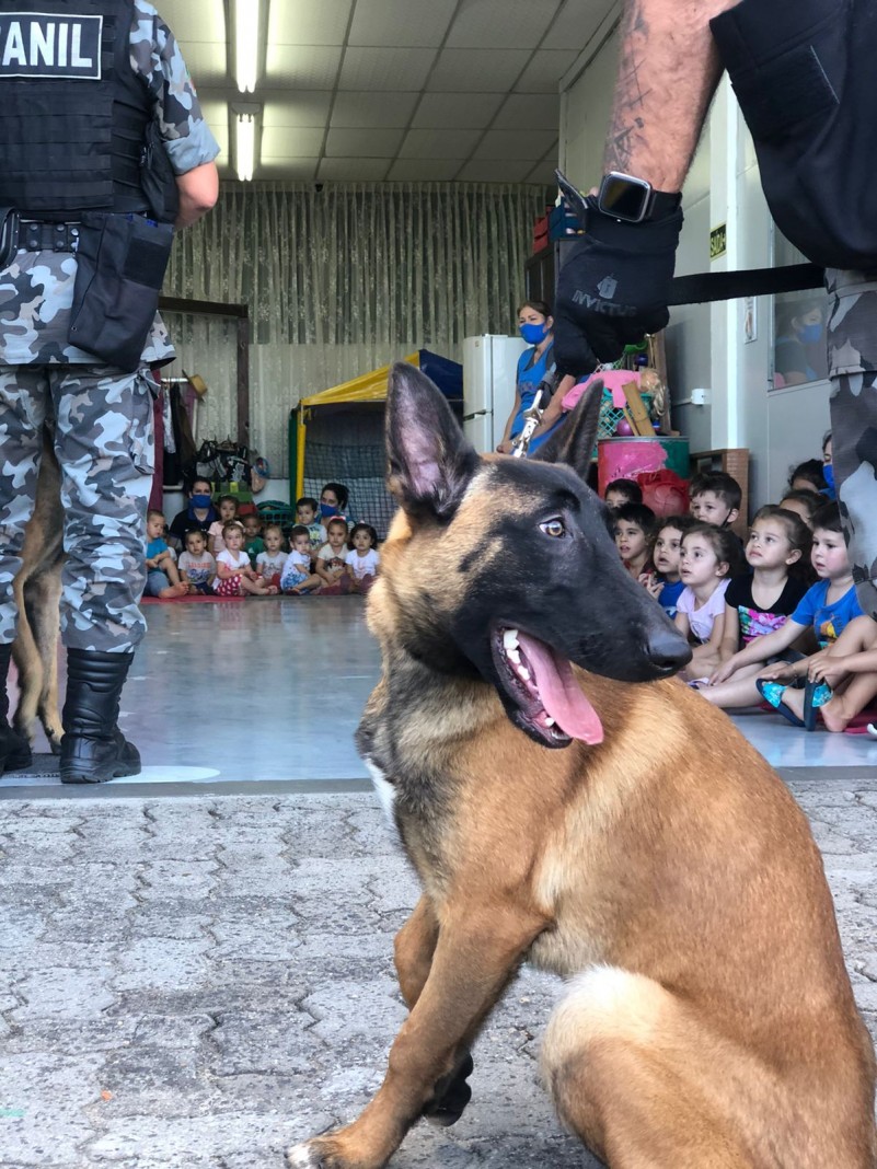 Canil do 3&deg; BPM em visita &agrave; escola em Est&acirc;ncia Velha
