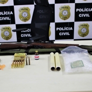 Apreensões de munições e arma