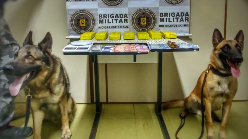 Apreens&atilde;o em Os&oacute;rio