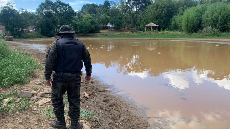 Morte de Peixes em Santo Ant&atilde;o