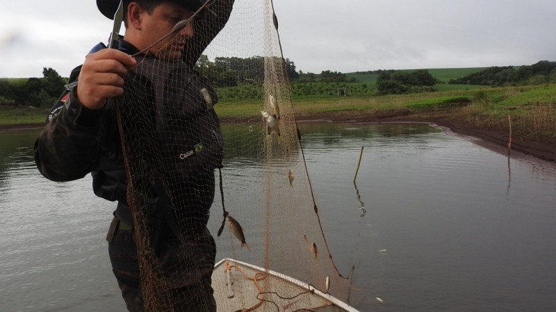 Apreens&atilde;o Rede e  Soltura de Peixes em Carazinho