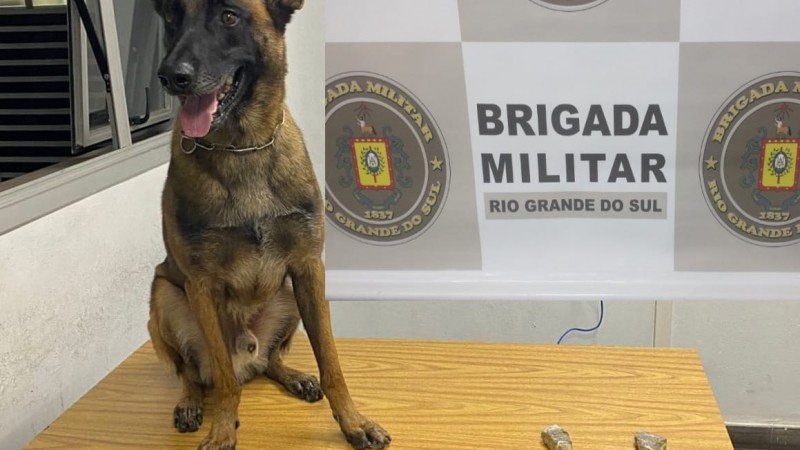 Apreens&atilde;o de drogas em 15 02 2022