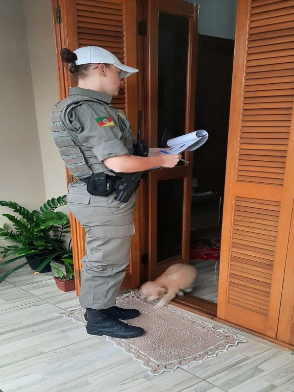 Patrulha Mª Penha Novo Hamburgo