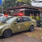 Operação Hoplitas
