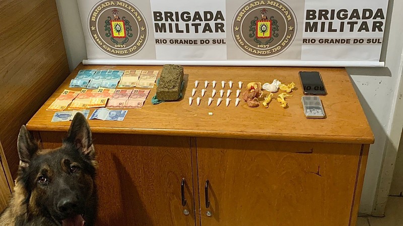 Cão farejador com drogas e dinheiro apreendidos