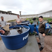 espaço para horticultura