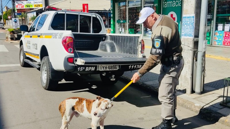 Cão sendo contido por policial militar