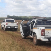 viaturas no campo