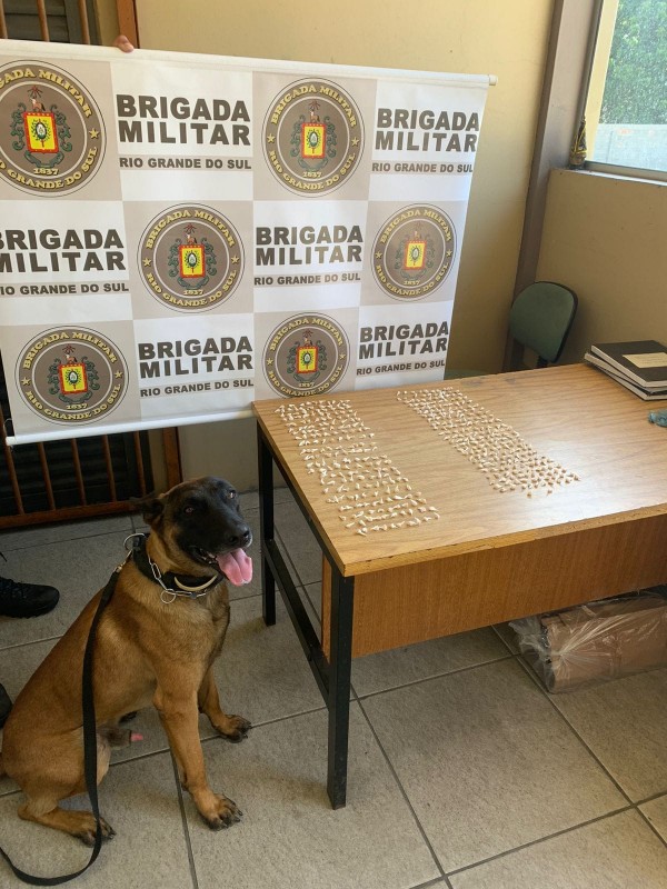 Imagem mostra apreensões de pedras de crack dispostas em cima de uma mesa. Por trás da mesa, o banner institucional da Brigada Militar e, ao lado, um cachorro da raça Pastor Alemão
