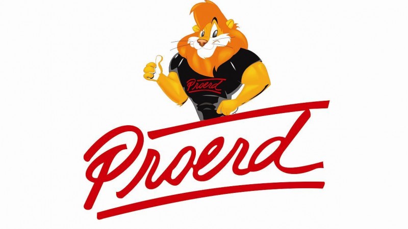 Foto mostra a logo do Proerd