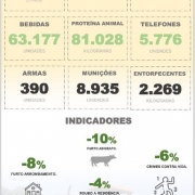 Apreensões