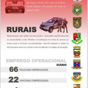 Patrulhas  de Fronteira