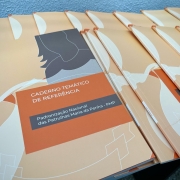 Curso nacional de atendimento às mulheres e meninas em situação de violência - nível multiplicador.