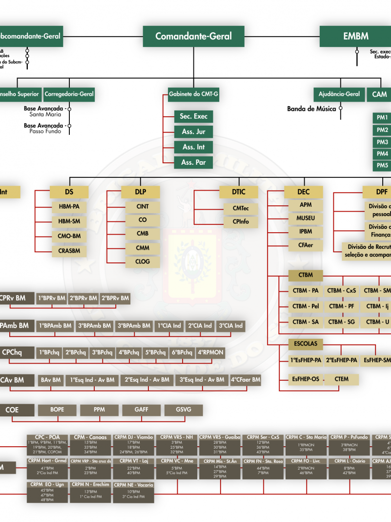 Estrutura Organizacional
